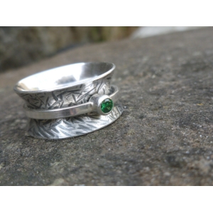 Silver Spinner Ring Silver Spinner Ring