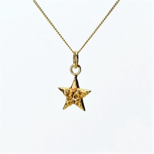 Solid Gold Star Necklace